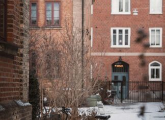 Elektrikli Bisiklet ile Keşfedin: Sürüşte Yeni Bir Devrim!