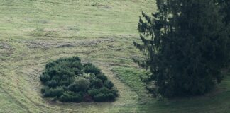 Rks Elektrikli Bisiklet: Sürüş Keyfini Katlayan Yenilikler