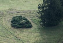 Elektrikli Bisiklet İle Şehirde Keşfe Çıkmanın En İyi Yolları