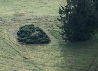 Kuba Elektrikli Bisiklet İle Şehirde Hız Ve Konforu Keşfedin
