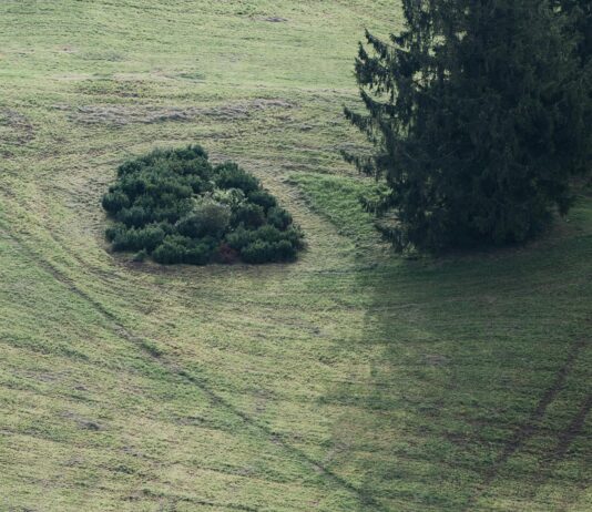Kuba Elektrikli Bisiklet İle Şehirde Hız Ve Konforu Keşfedin