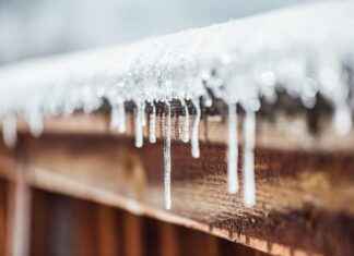 Volta Elektrikli Bisiklet Alınır Mı? İşte Tüm Detaylar Volta Elektrikli Bisiklet Alınır Mı? İşte Tüm Detaylar