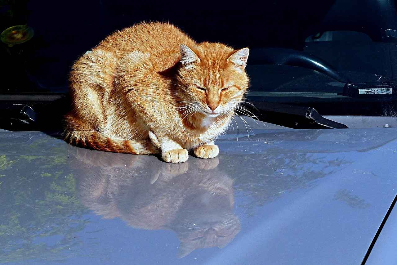 Elektrikli Bisiklet Aküleri Nedir?