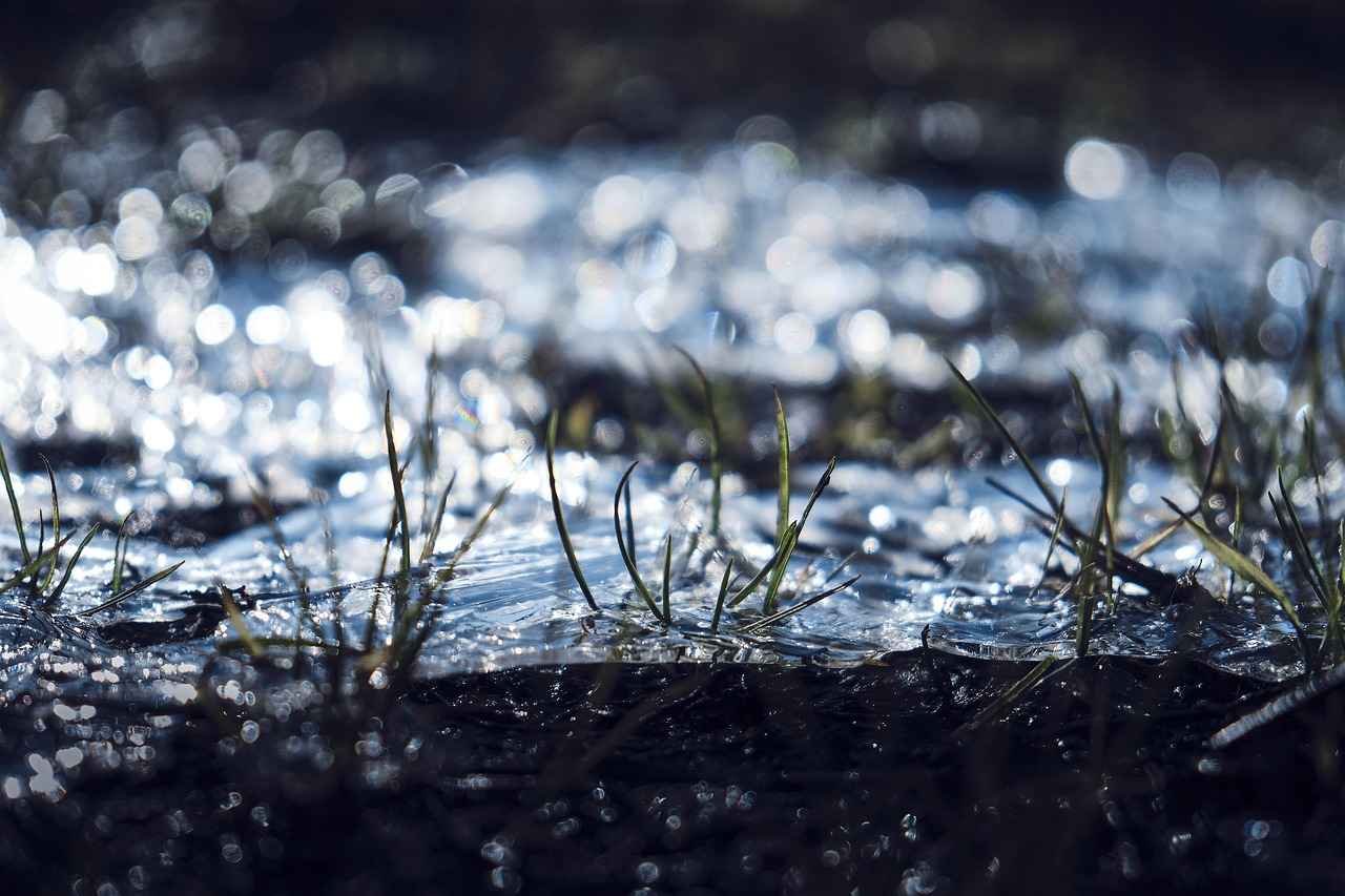 Başlangıç Seviyesi İçin Uygun Elektrikli Bisiklet Modelleri