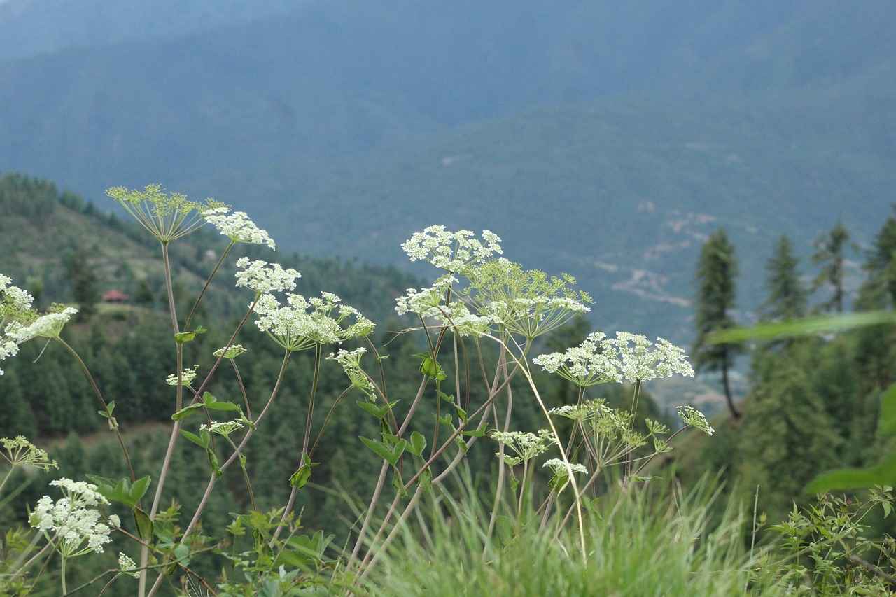 Fiyat ve Performans Dengesini Anlamak