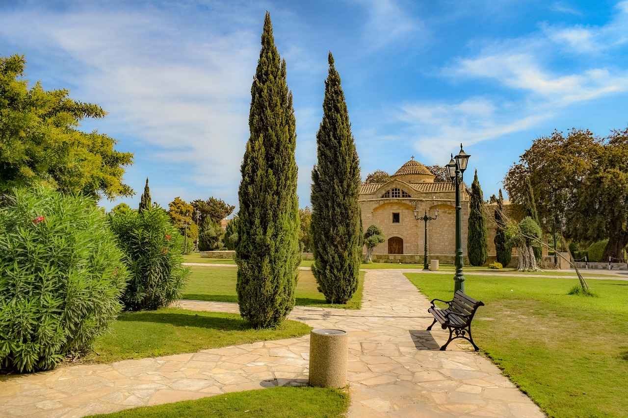 Sonuç: Hangi Dönüşüm Kiti Sizin İçin Uygun?