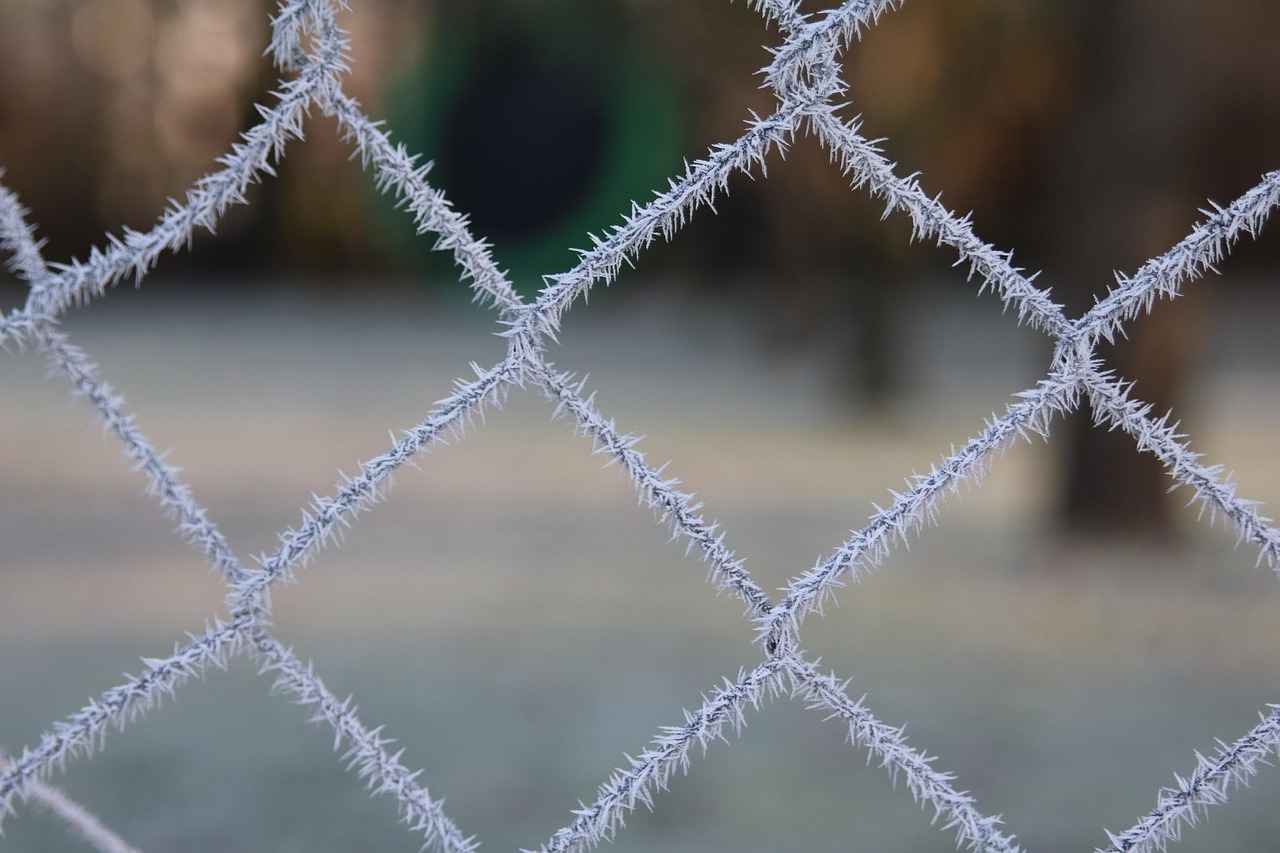 Sonuç: Doğru Elektrikli Bisiklet Seçimi