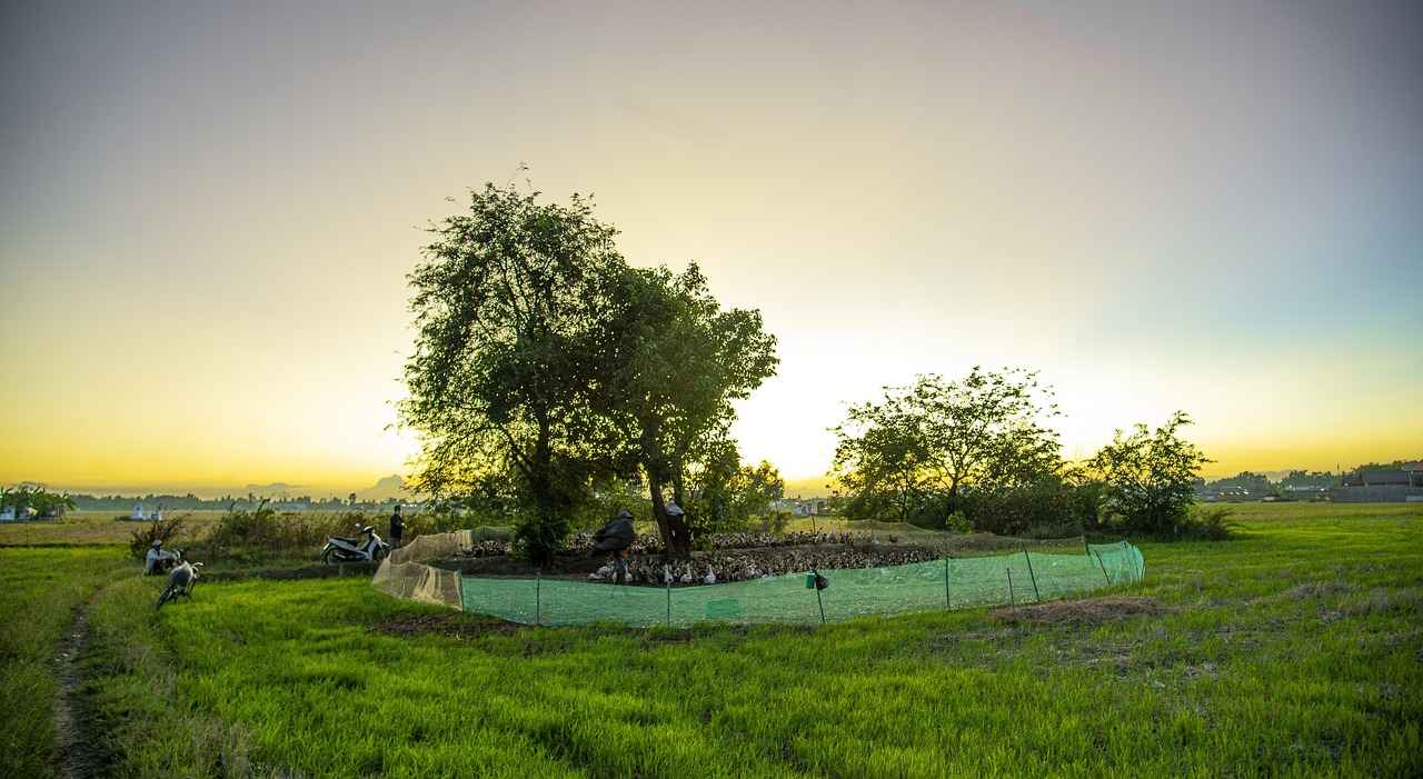 10. Yerel Yasal Düzenlemeler