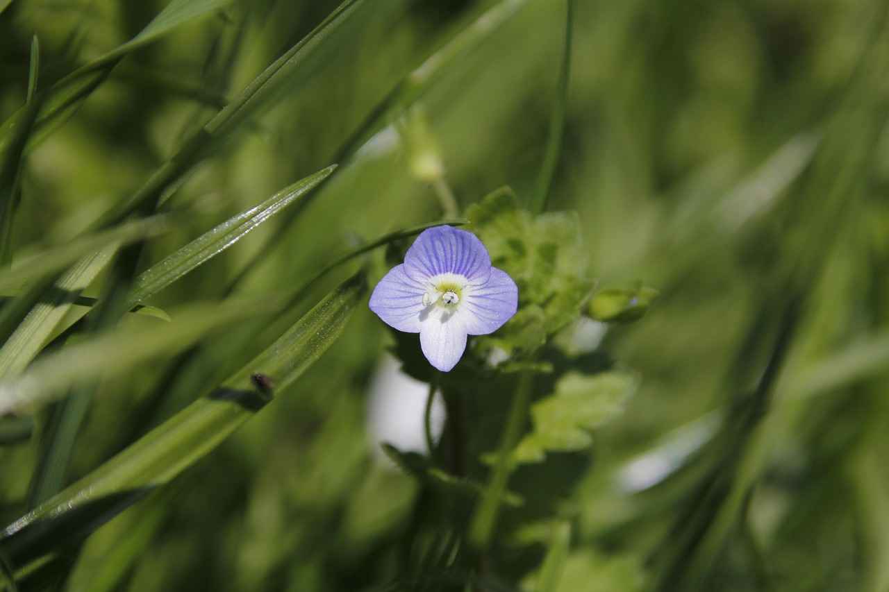 Batarya Ne Zaman Değiştirilmelidir?