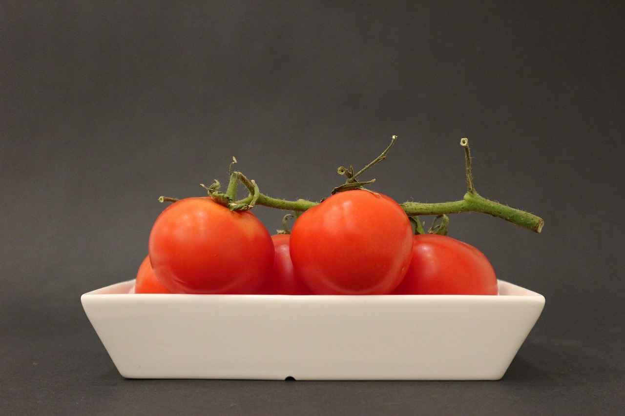 Elektrikli Bisiklet Bataryası Nedir?