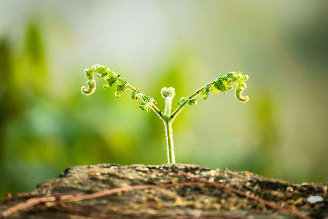 Sonuç: Elektrikli Bisiklet Bataryası Şarjında En İyi Uygulamalar