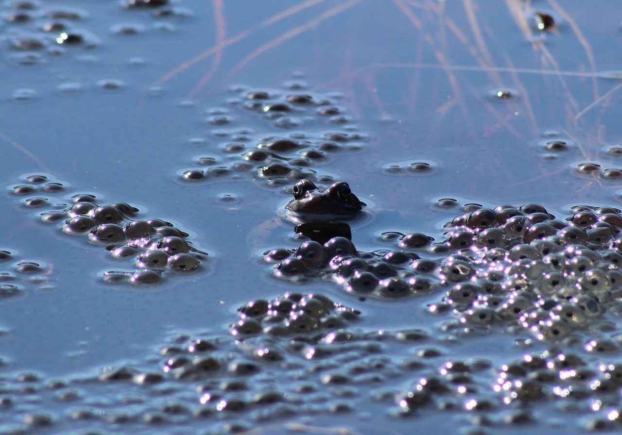 Farkındalık ve Eğitim