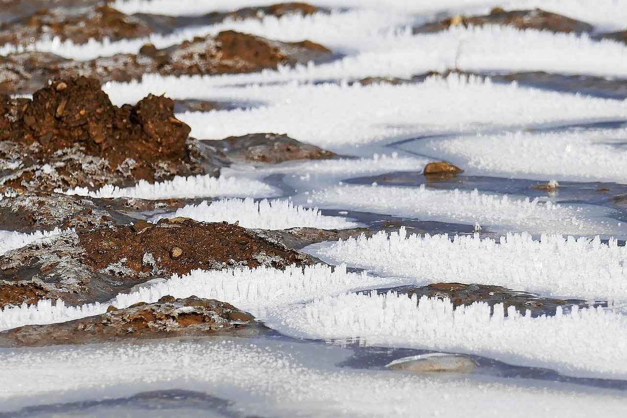 Elektrikli Bisiklet Kullanım Alanları