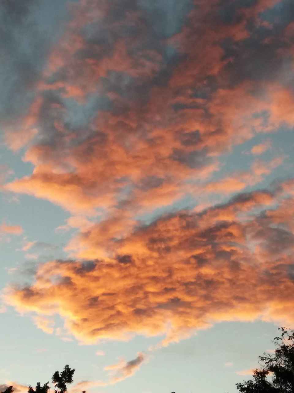 3. Doğru Beslenme Alışkanlıkları