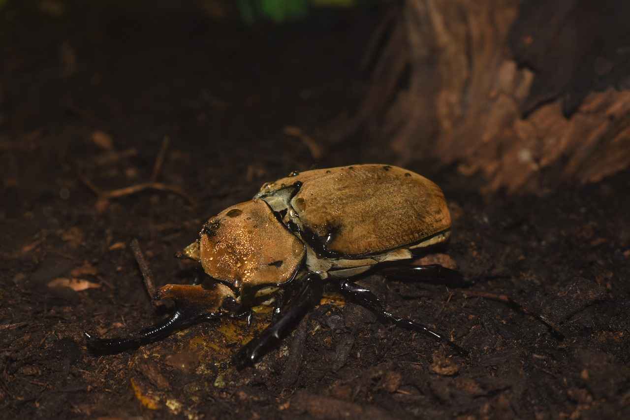 8. Hatalı Yük Taşıma