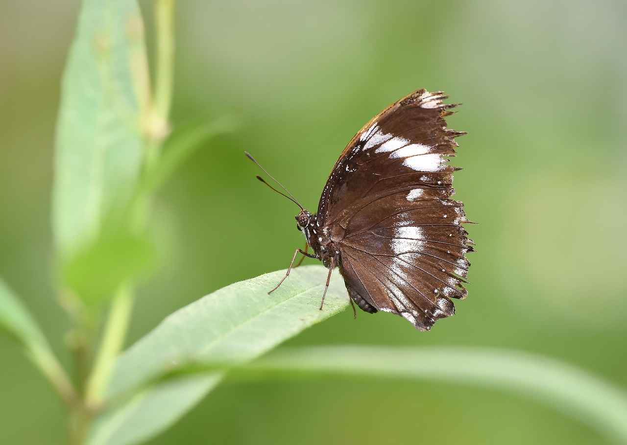 4. Elektrikli Bisikletler için En İyi Ekipmanlar