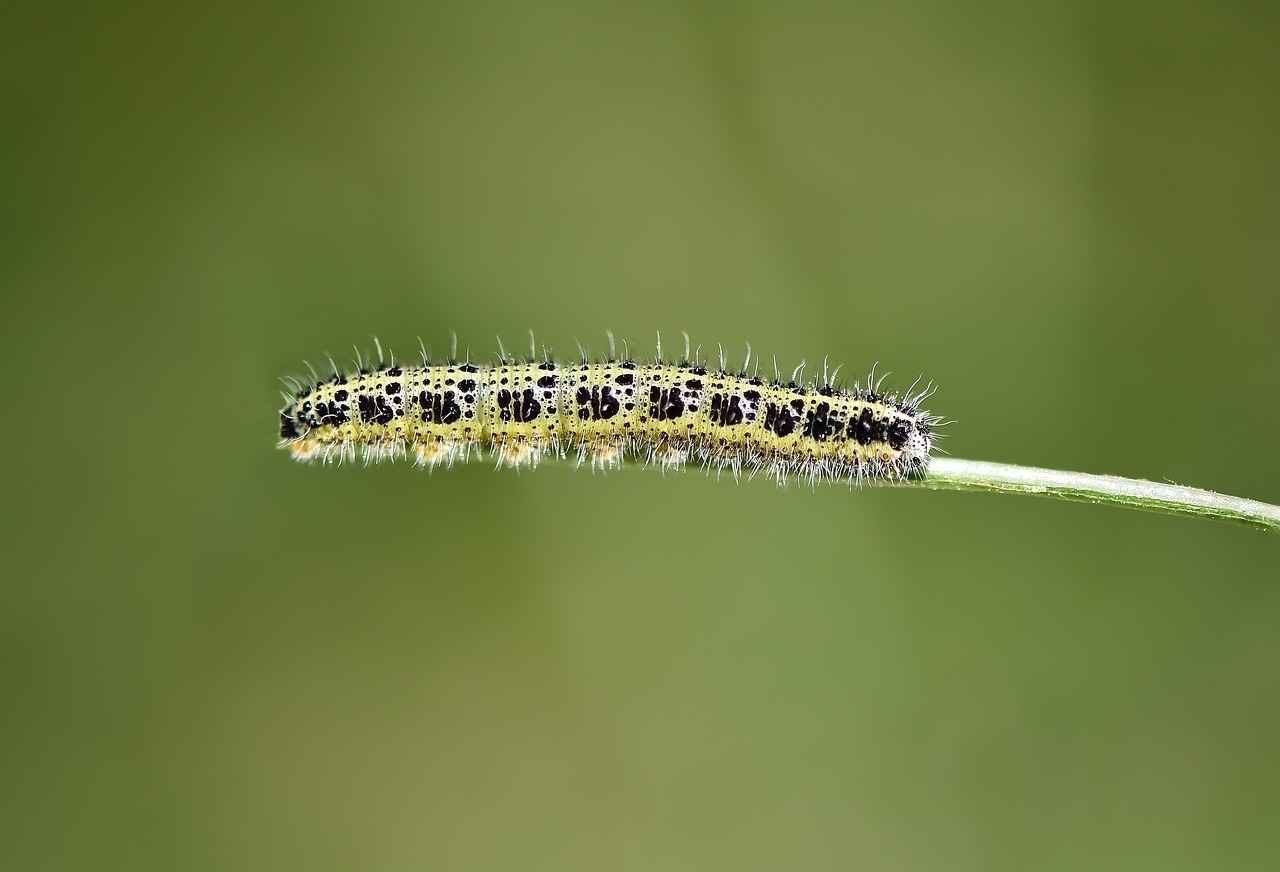 2. En İyi Elektrikli Bisiklet Rotaları Nerelerde?