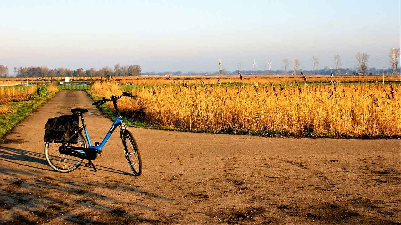 Elektrikli Bisiklet Satın Almadan Önce: Mesafe ve Ücret Açısından Nelere Dikkat Edilmeli?
