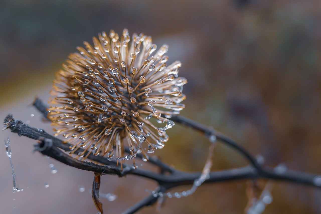 Kısa Mesafeli Ulaşımda Elektrikli Bisiklet Kullanmanın Avantajları
