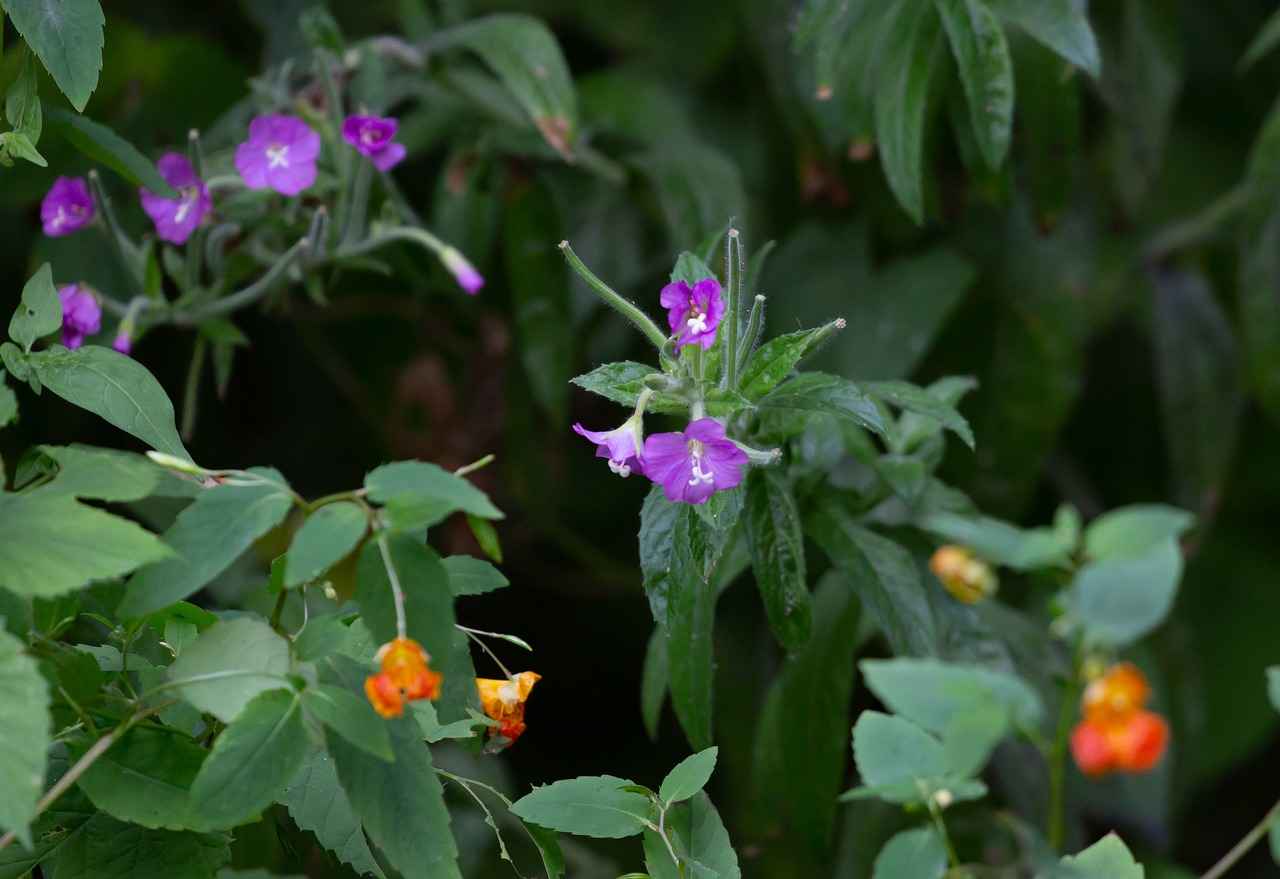 Güvenlik Ekipmanları ve Aksesuarlar