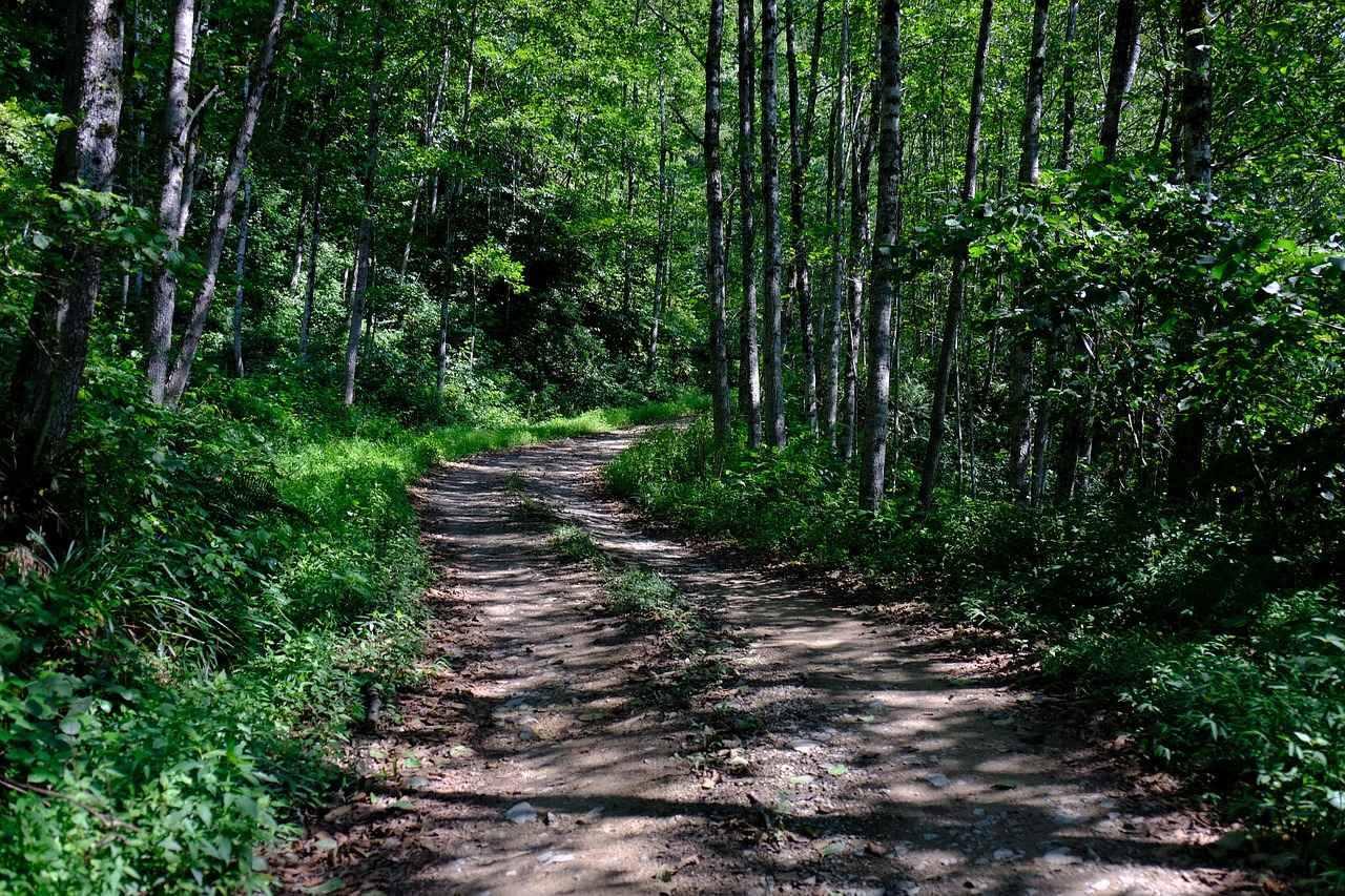 Fotoğraf Ekipmanının Seçimi