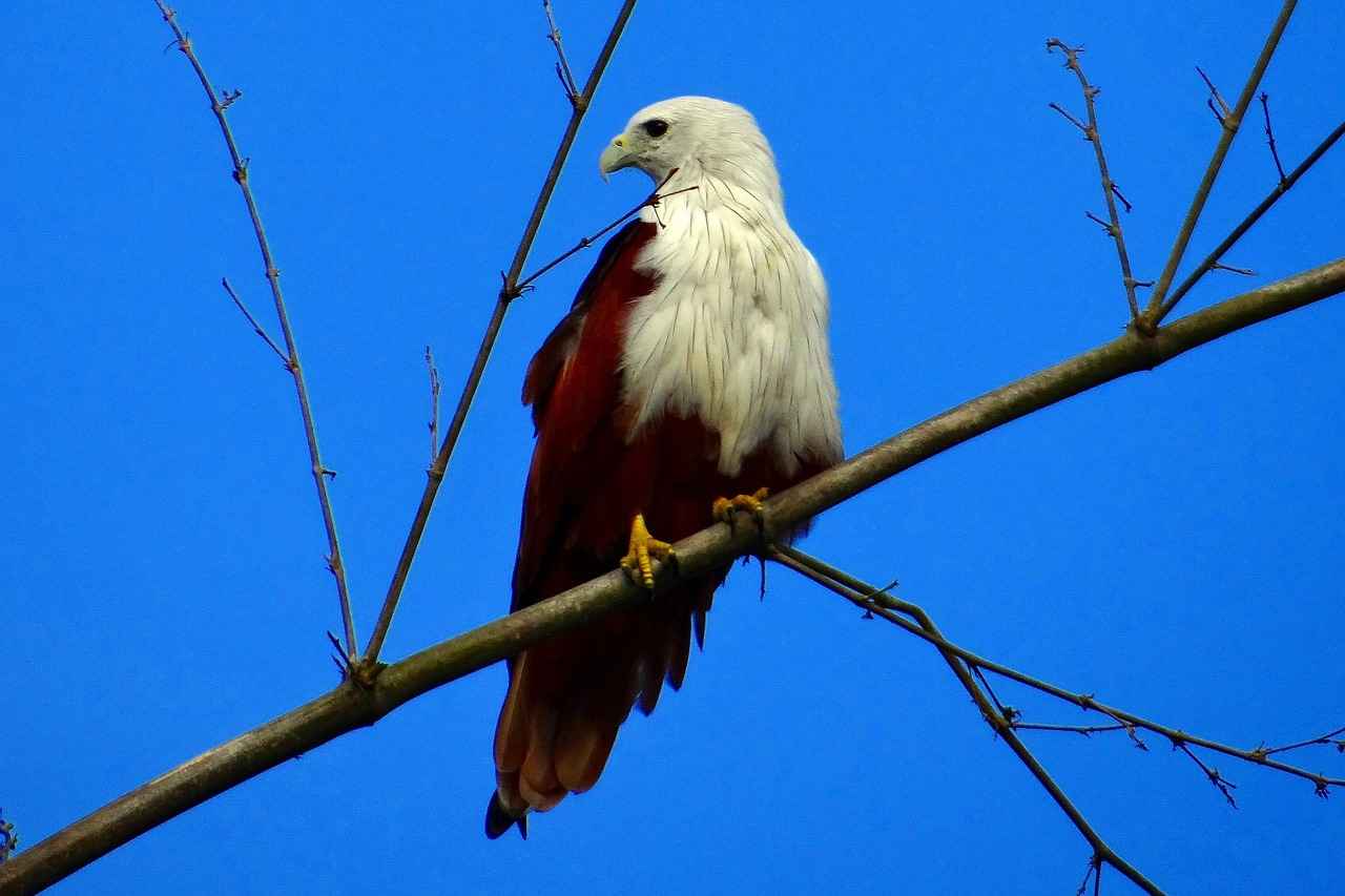 Elektrikli Bisiklet Kullanımının Psikolojik Faydaları