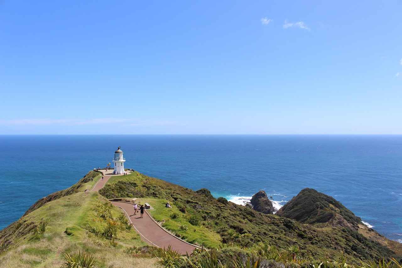 Sonuç: Elektrikli Bisikletlerin Sağlık Üzerindeki Genel Etkisi