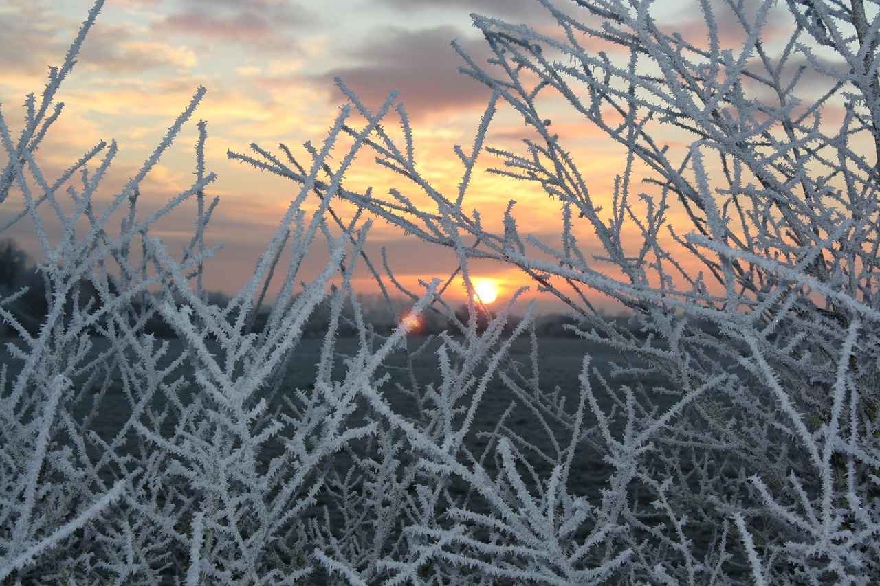 Elektrikli Bisikletlerde Kullanıcı Deneyimleri: Gerçek Yorumlar