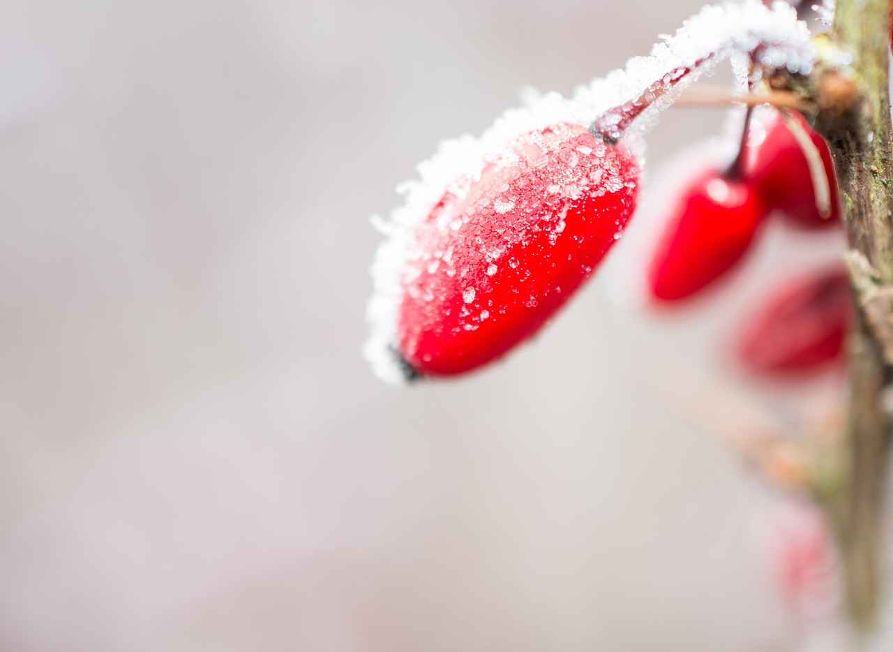 Kullanıcı Deneyimleri ve Yorumlar