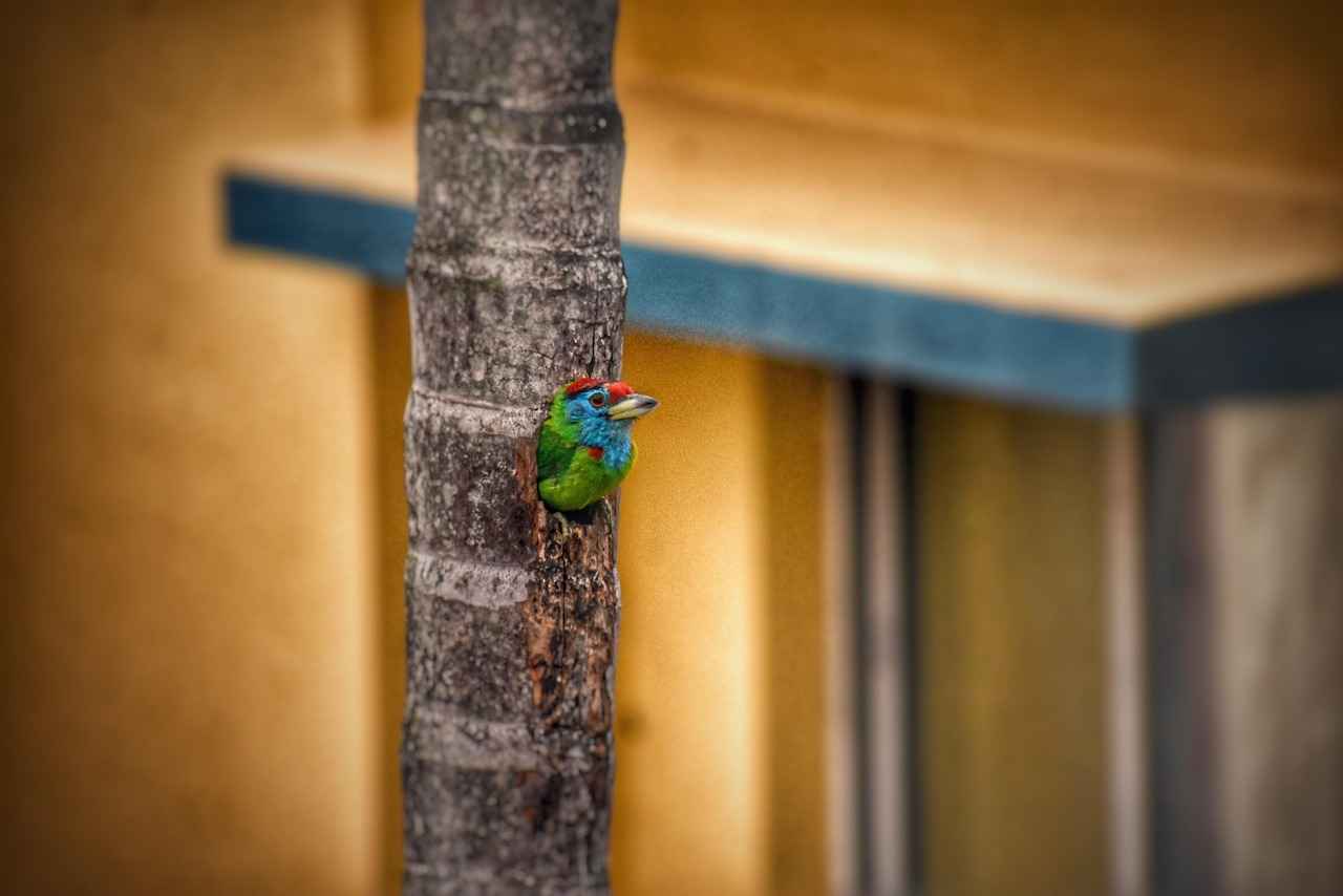 Hangi Modu Ne Zaman Seçmelisiniz?