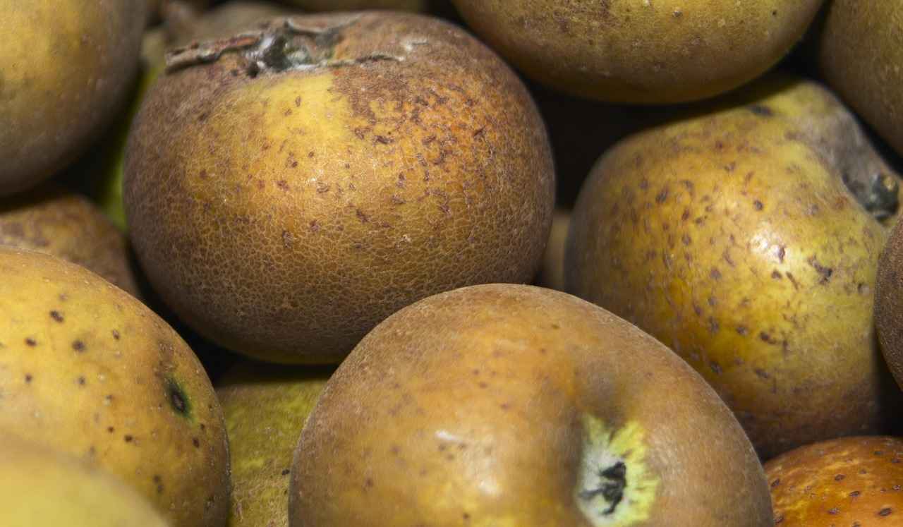 Sonuç: Hangi Mod Sizin İçin Uygun?