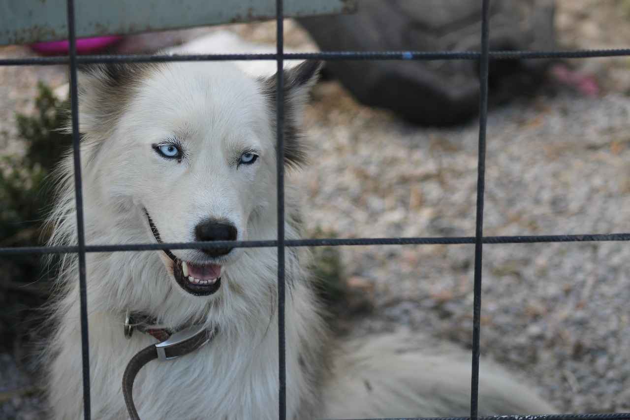 Elektrikli Bisikletin Temizliği