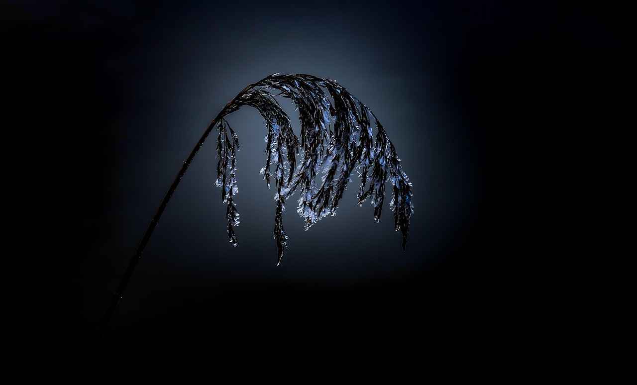 Elektrikli Bisikletlerin Geleceği