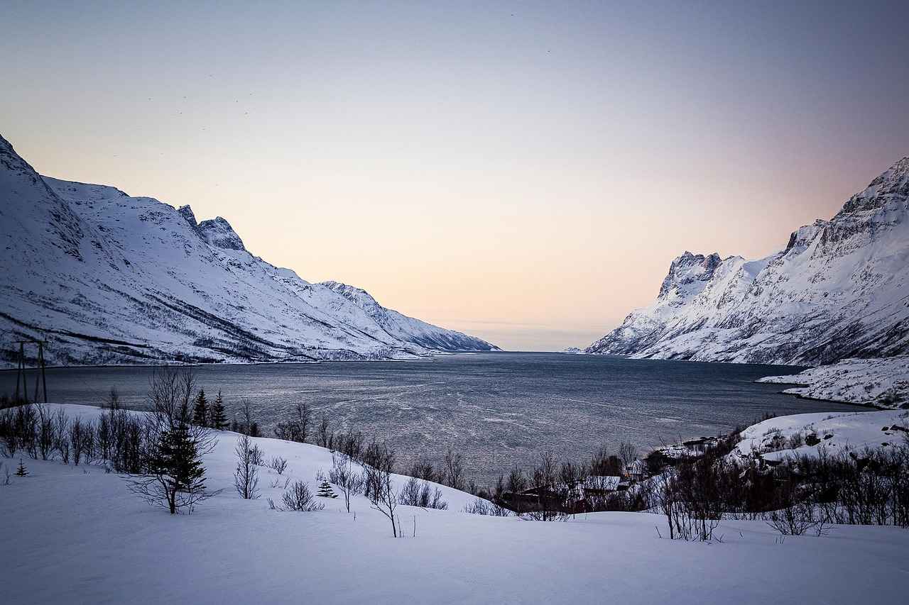 Elektrikli Bisikletlerin Kullanım Alanları