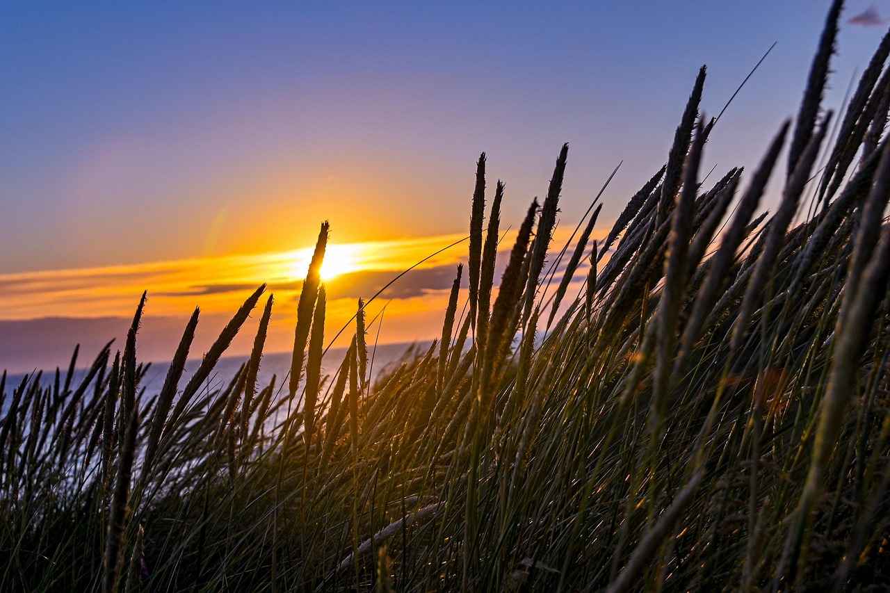 Sonuç: Elektrikli Bisikletlerin Geleceği