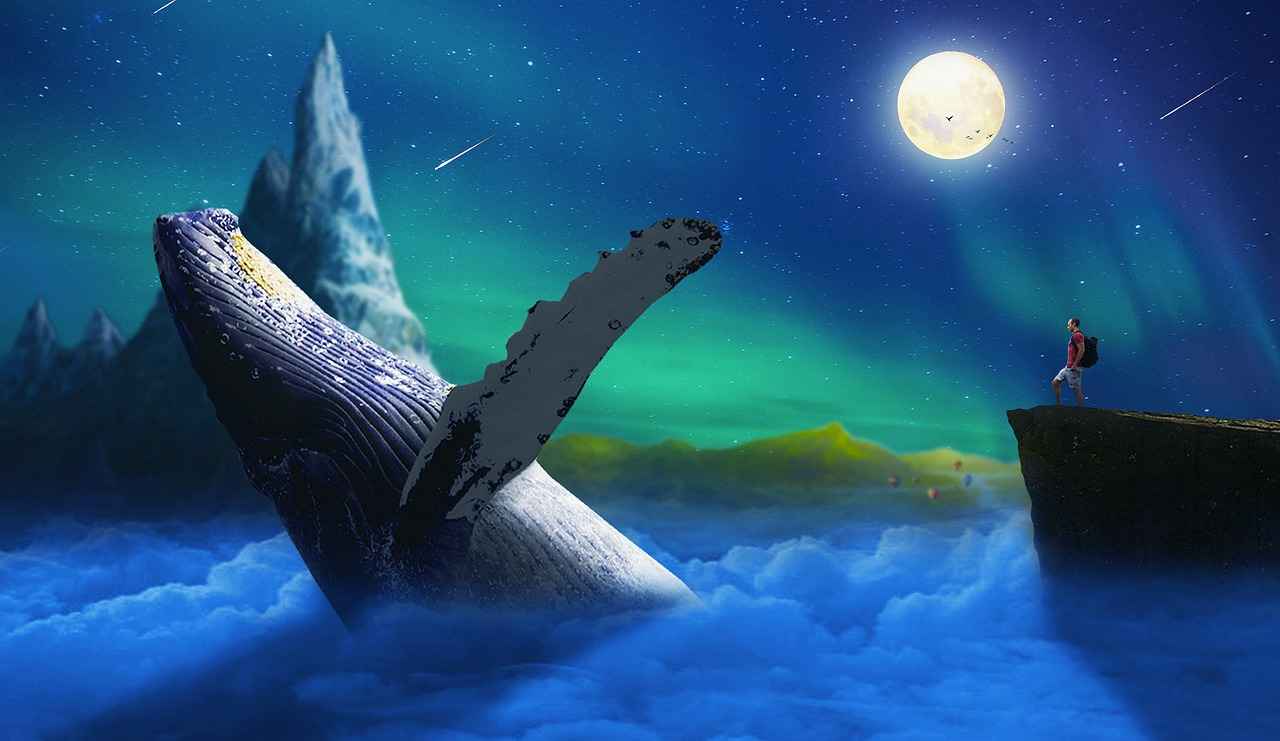 İyi Bakım ve Kullanım İpuçları