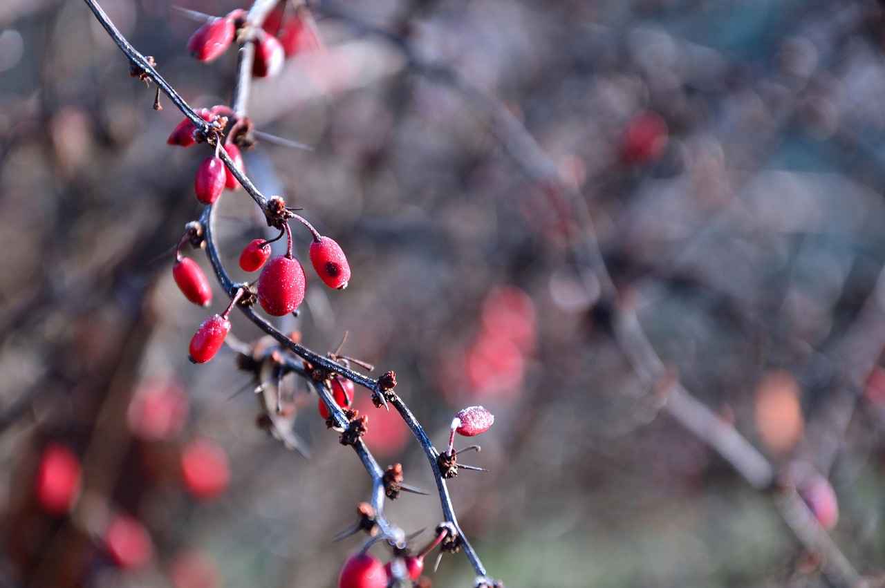 Elektrikli Bisikletlerin Ekonomik Avantajları