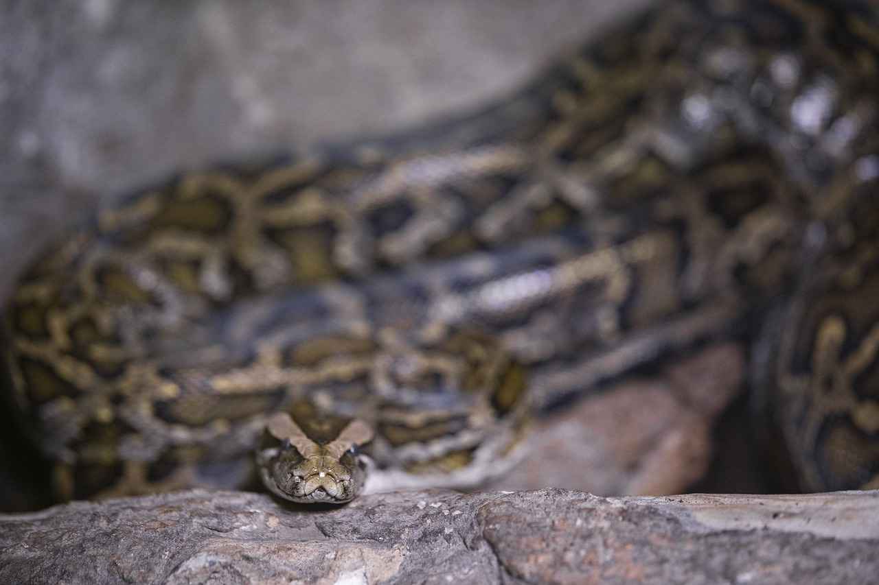 Bakımda Dikkat Edilmesi Gerekenler