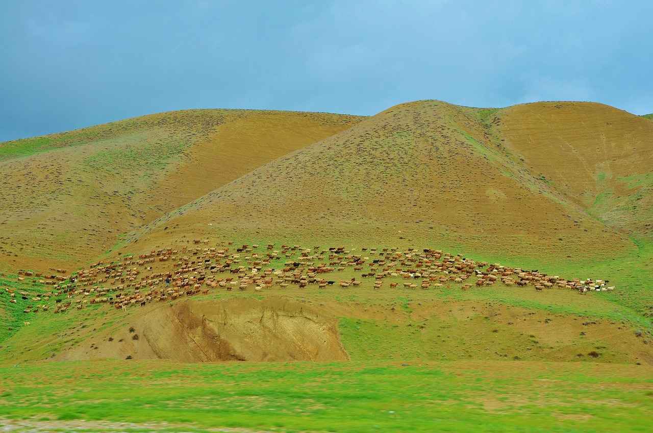 Elektrikli Araçların Yasal Statüsü