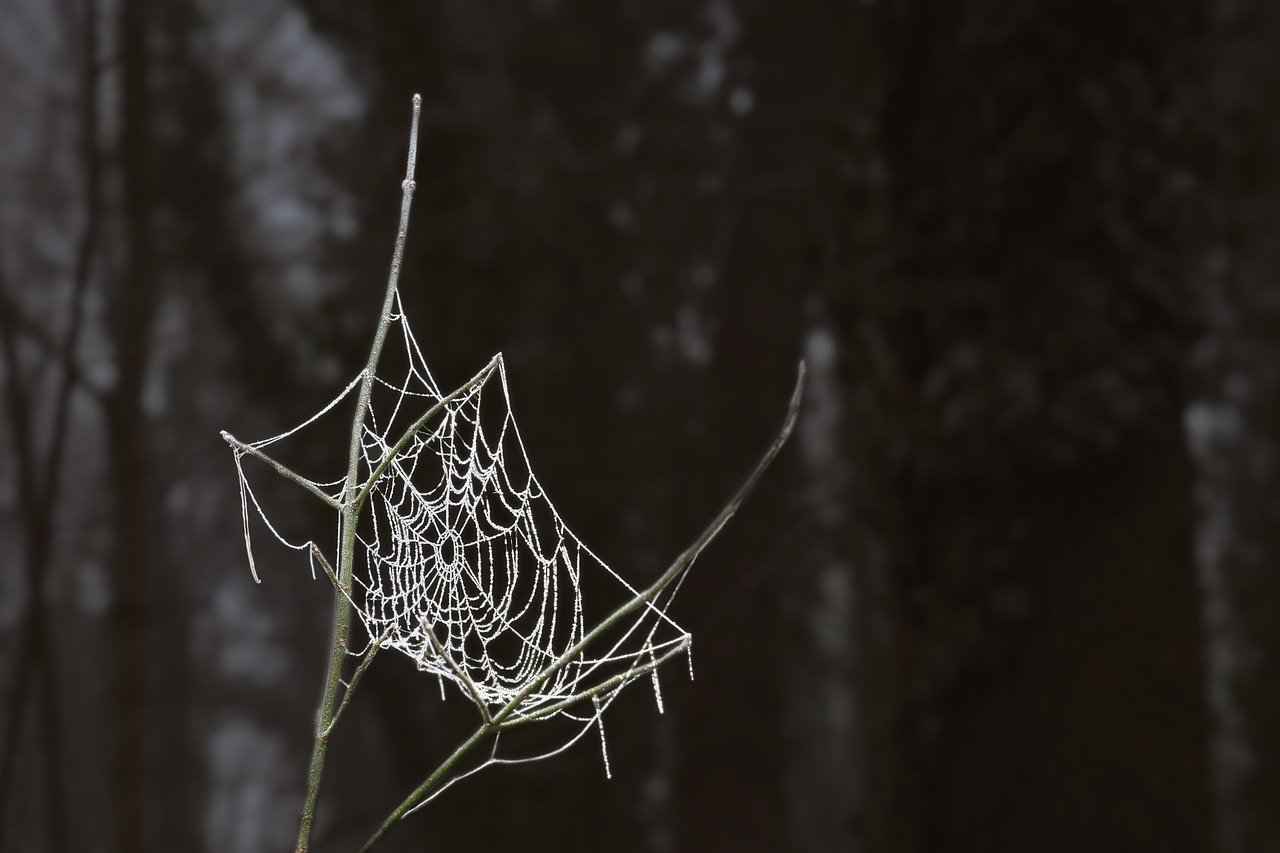 Elektrikli Bisikletlerin Avantajları