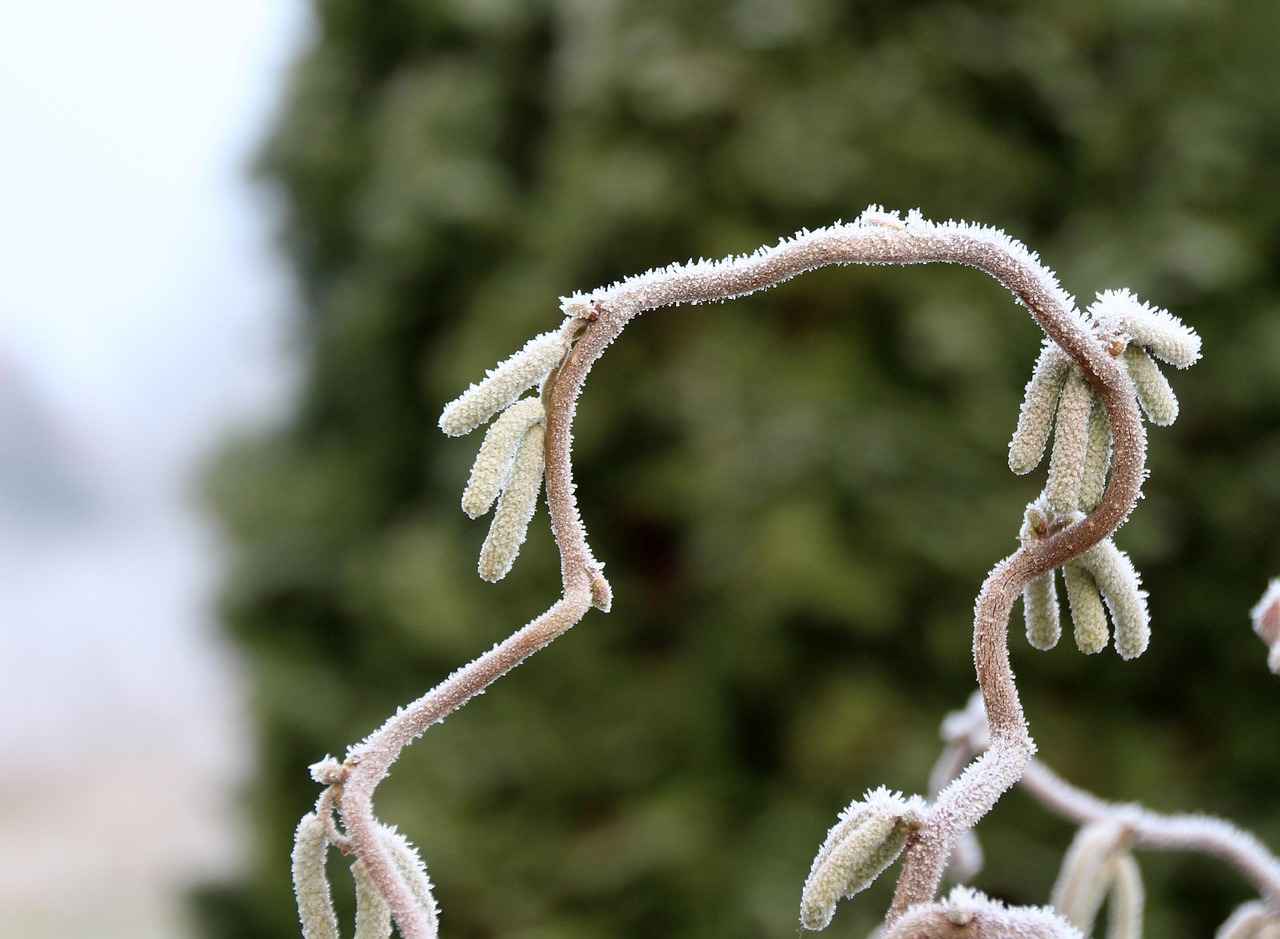 Sonuç: Hangi Elektrikli Bisiklet Sizin İçin Uygun?