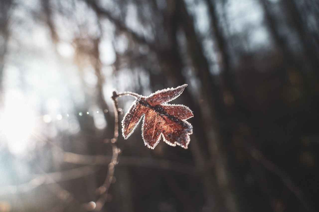 Elektrikli Bisikletlerin Menzil Hesaplaması