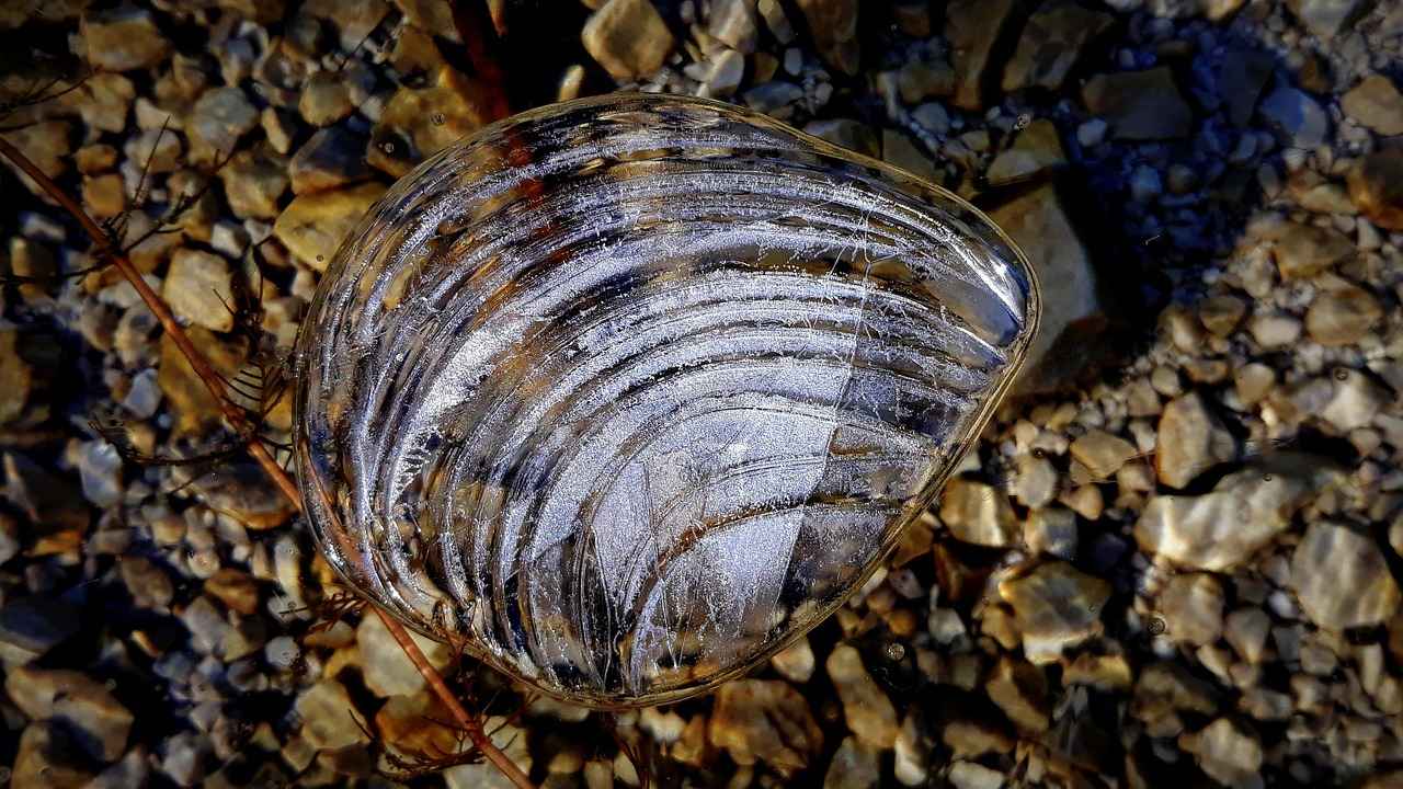 Sonuç: Elektrikli Bisiklet Almalı Mıyım?