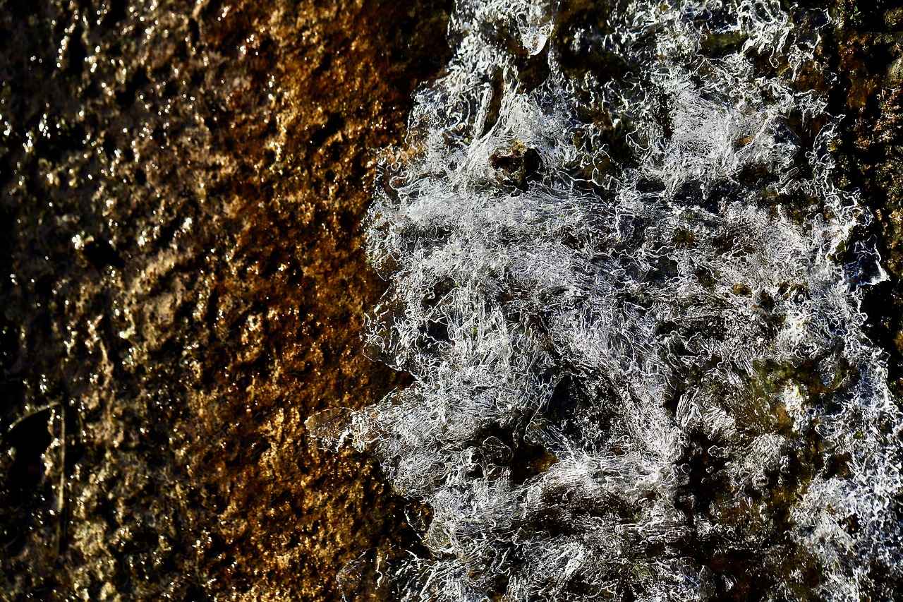 Elektrikli Bisikletlerin Fiyat Aralığı Nedir?