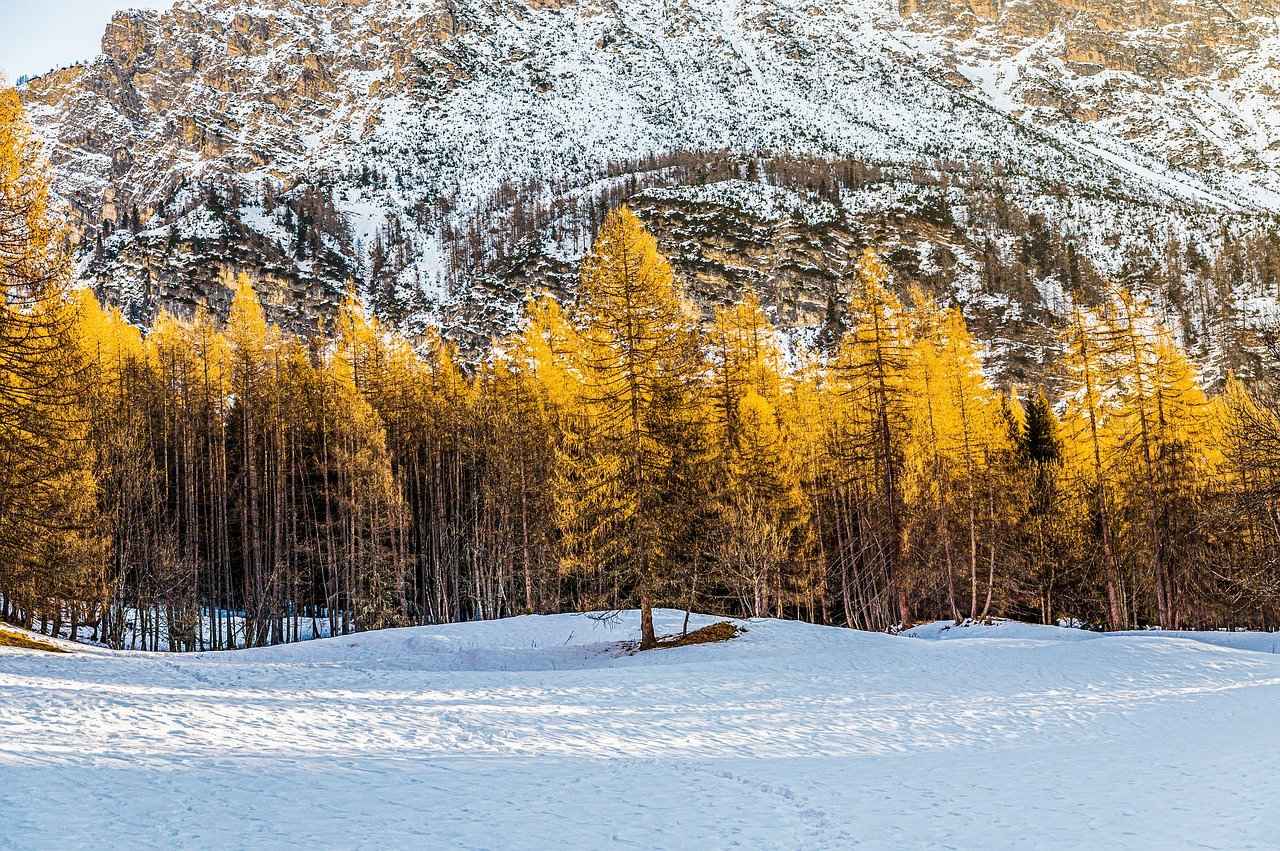 Katlanabilir Elektrikli Bisiklet Kullanım Alanları