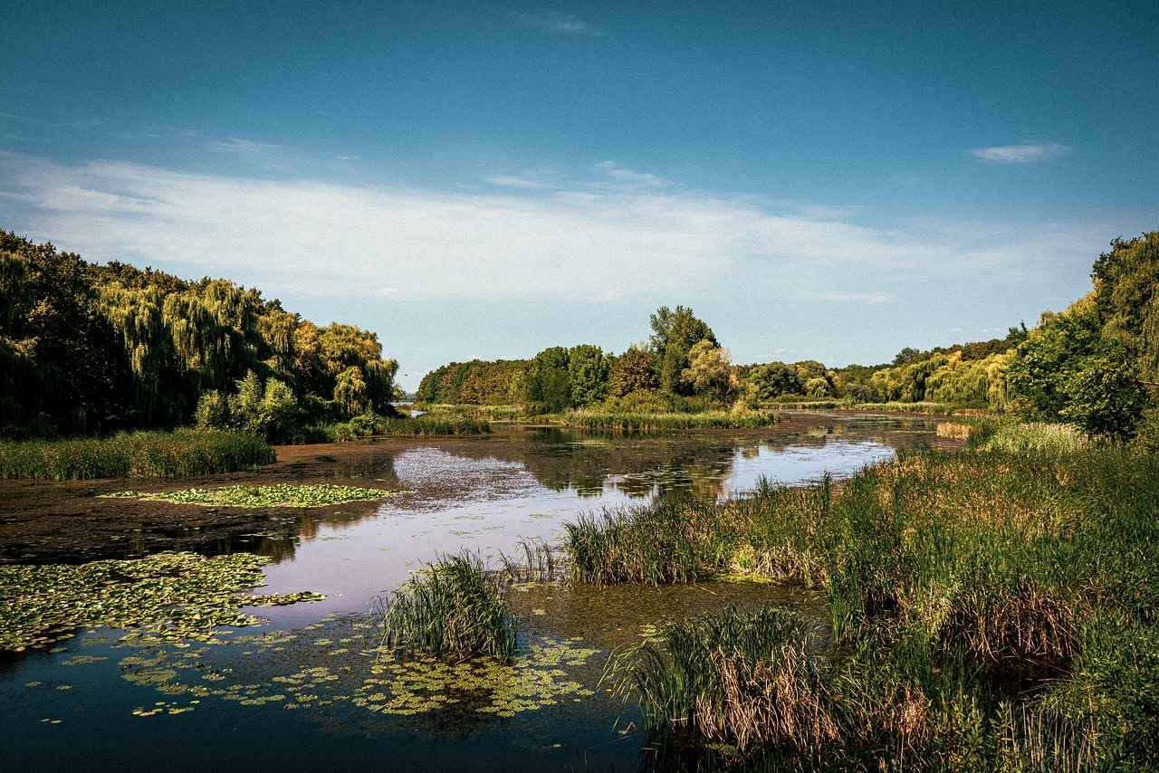 Elektrikli Bisiklet Bakımı