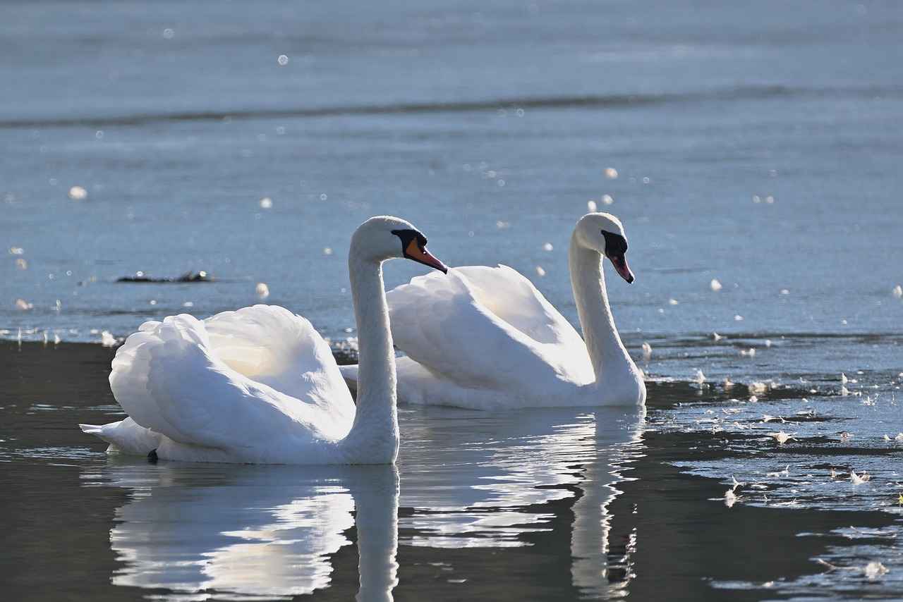 Gelecek Vizyonu: Şarj İstasyonlarının Gelişimi
