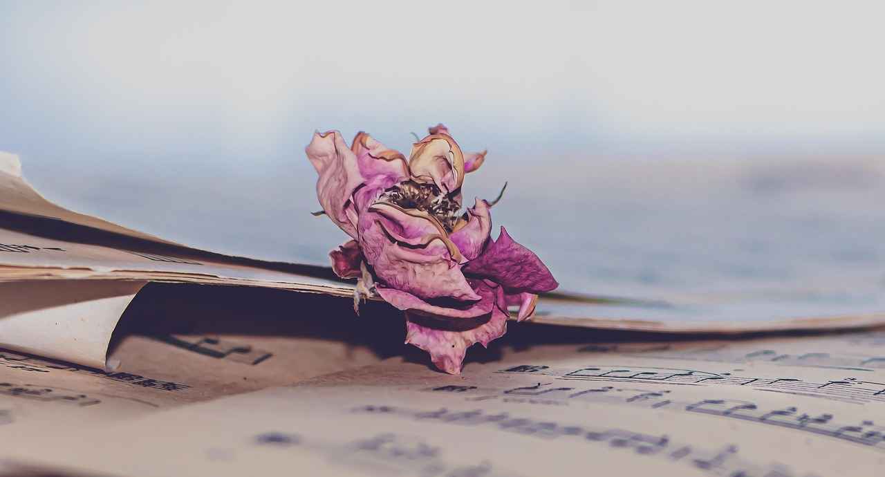 Şarj Süreleri ve Menzil: Elektrikli Bisikletlerde Dikkat Edilmesi Gerekenler