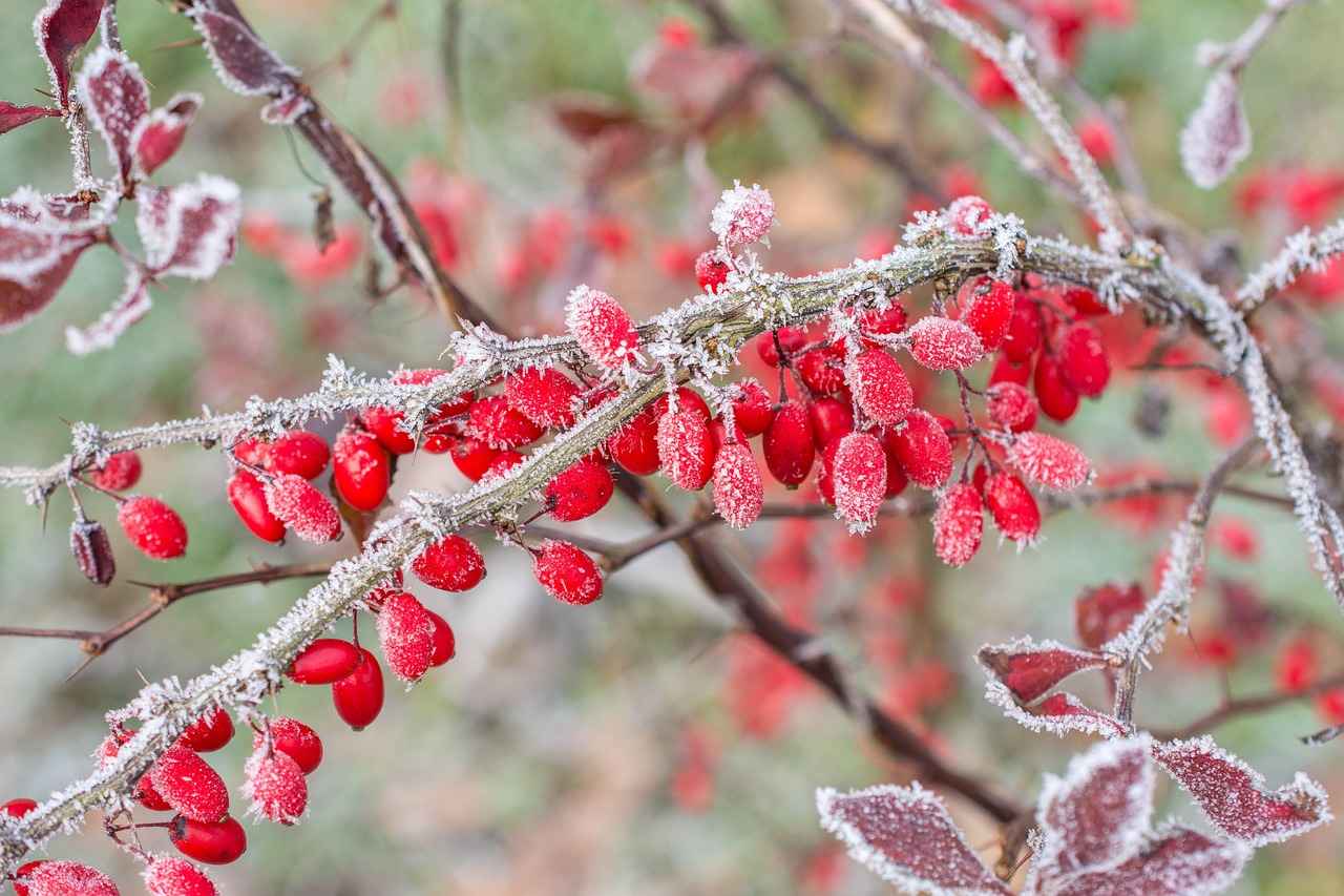 Elektrikli Bisiklet Seçerken Dikkat Edilmesi Gerekenler