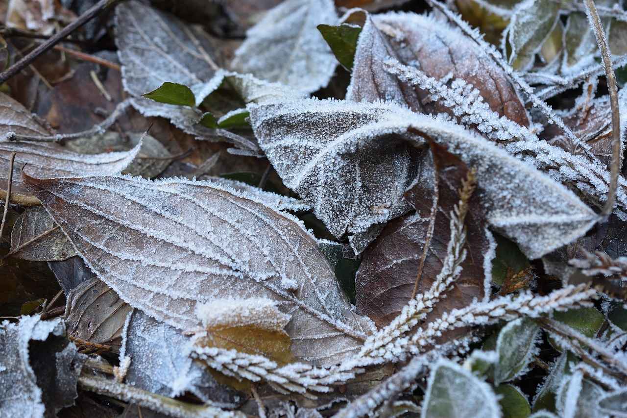Şehir İçi Ulaşımda Elektrikli Bisikletlerin Avantajları ve Dezavantajları